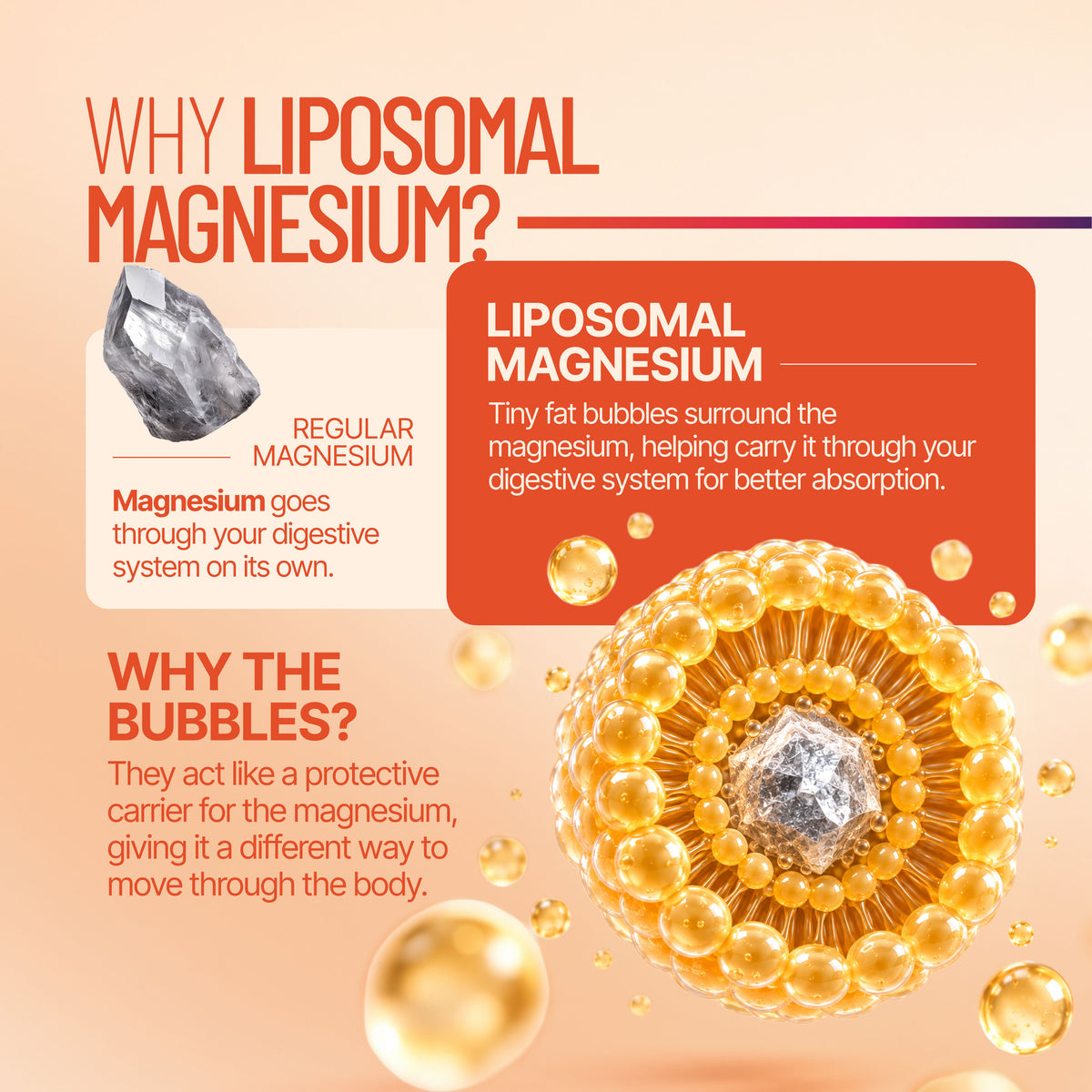 NRoute Magnesium + Vegan Vitamin D3